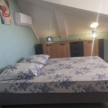 Tropical Suite - T2 Flamboyant - Saint-Pierre - 5Min De La Plage 外观 照片